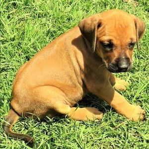 Meet your Posher, Esther